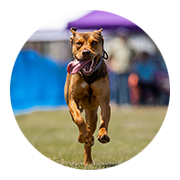 User-Profile-Image