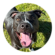 User-Profile-Image