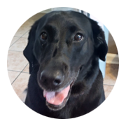 User-Profile-Image