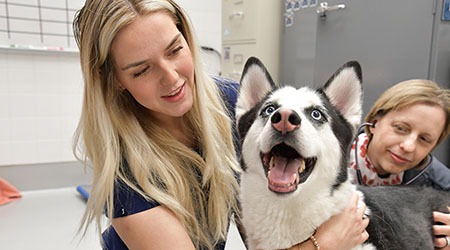 Jamie Johnson with dog