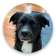 User-Profile-Image
