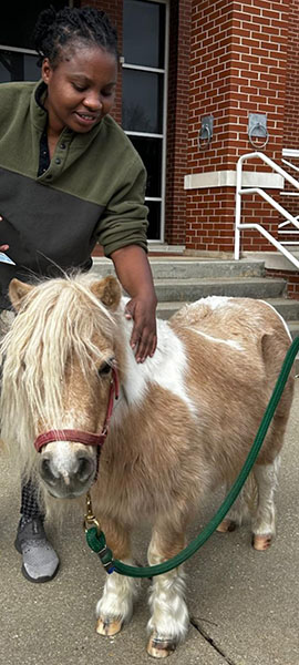 Woman with small horse