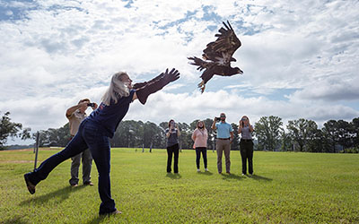 Woman releasing a bird into the air