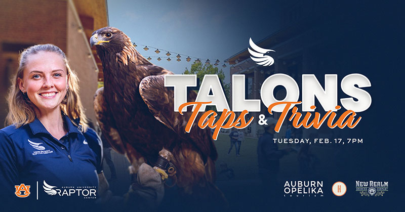 Talons, Taps, and Trivia