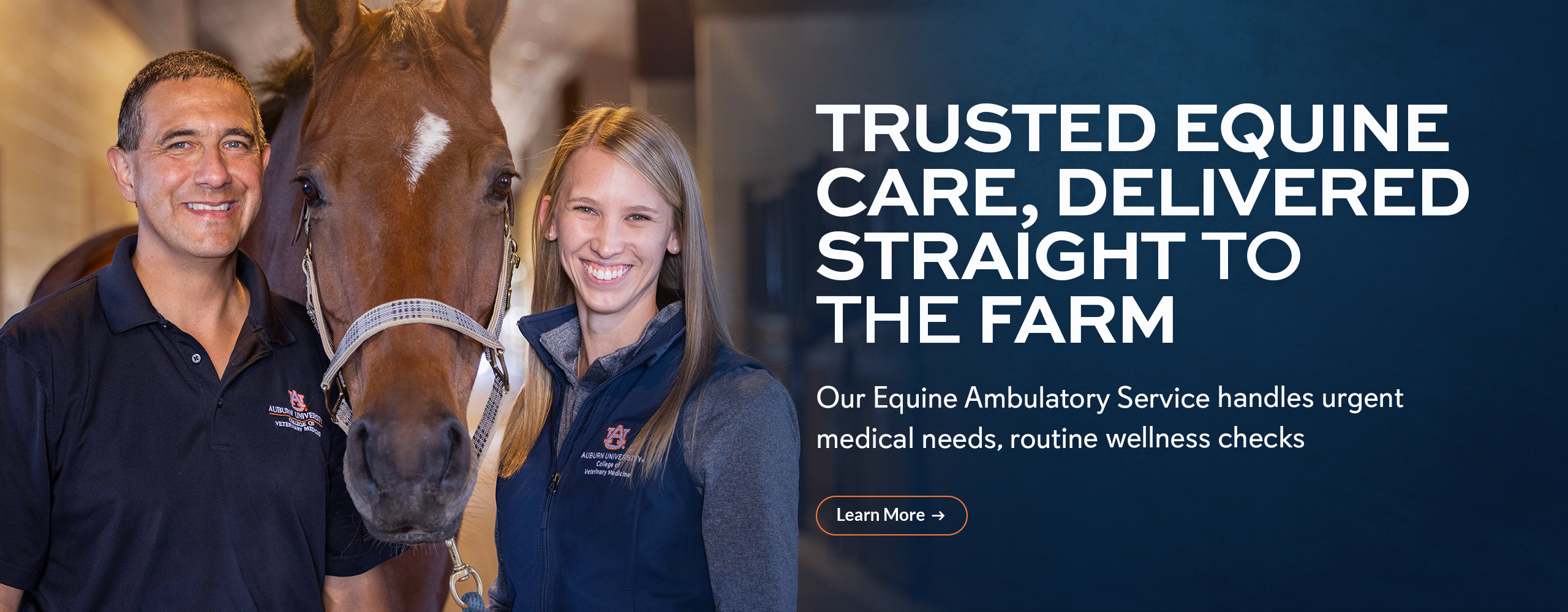 Trusted equine care, delivered straight to the farm. Our Equine Ambulatory Service handles urgent medical needs, routine wellness checks.