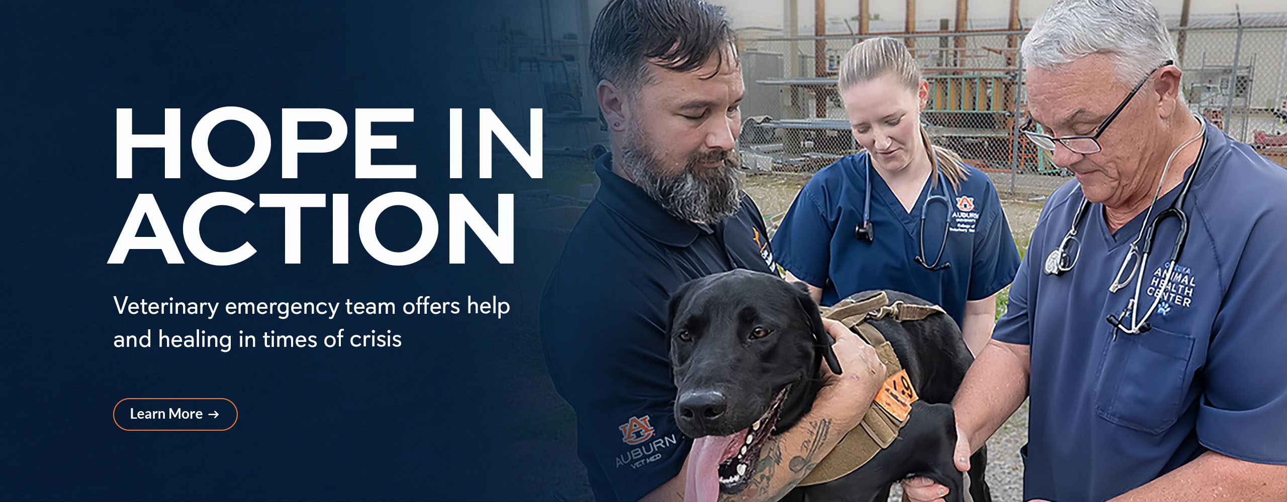 Hope in action: Veterinary emergency team offers help and healing in times of crisis.