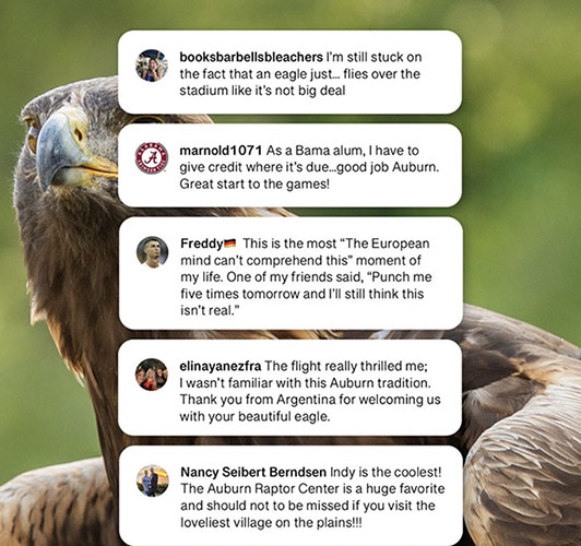 Social media reactions
