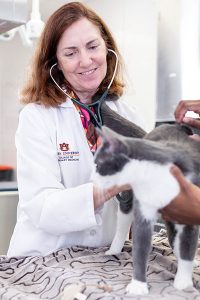 Cat Considerations Auburn Feline Expert Shares Adoption Tips During 