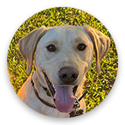 User-Profile-Image