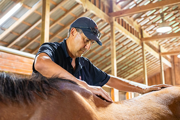 Dr. Sanchez with horse