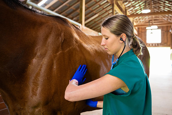 Student with horse
