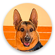 User-Profile-Image