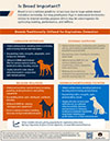 Is Breed Important?