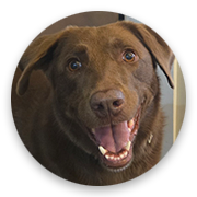 User-Profile-Image