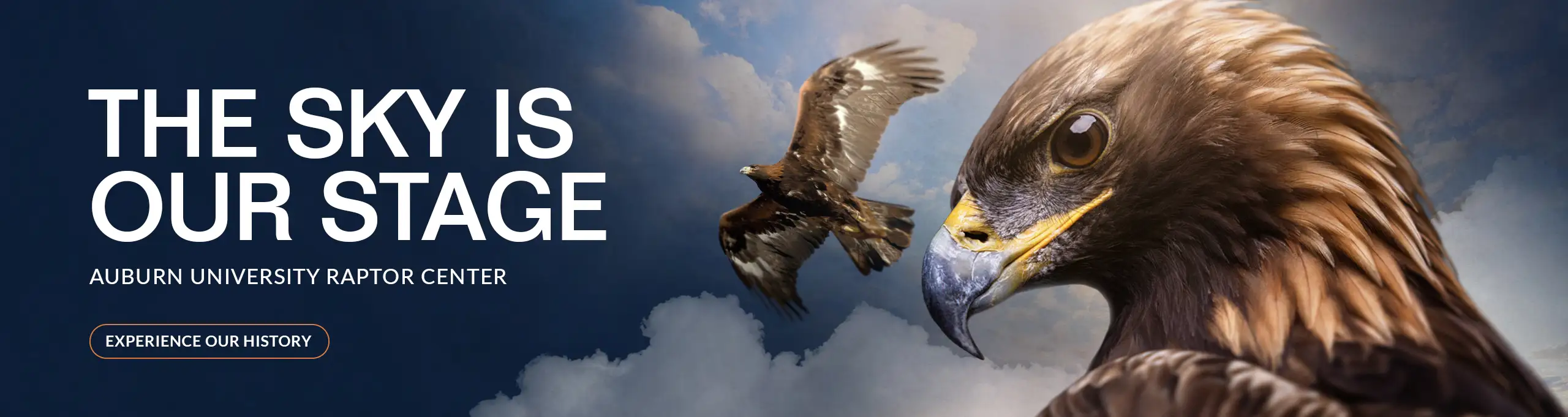 Experience the War Eagle 25th Anniversary