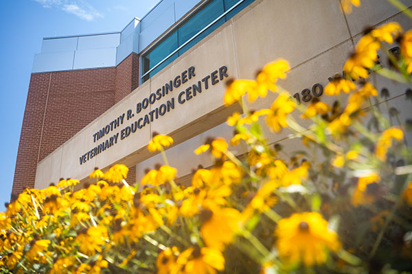 VEC Building Exterior
