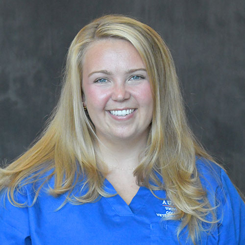Elizabeth Steelmon Photo