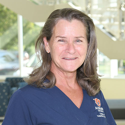 Susan Stewart